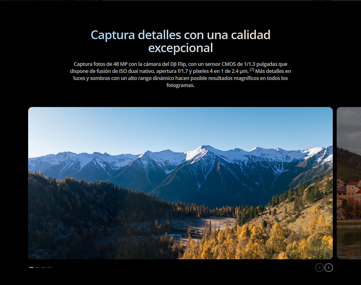 DJI-FLIP_12